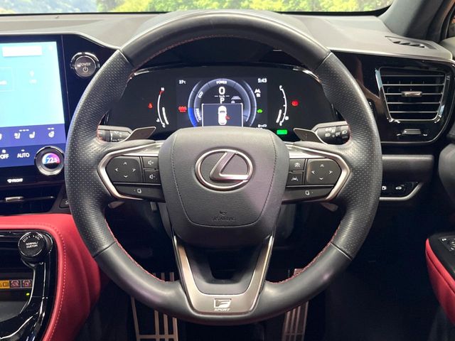 Lexus NX 11