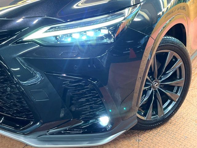 Lexus NX 12