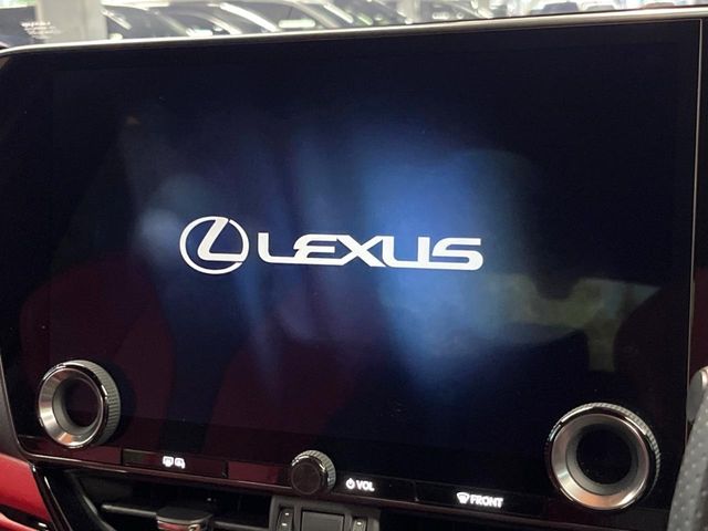 Lexus NX 4