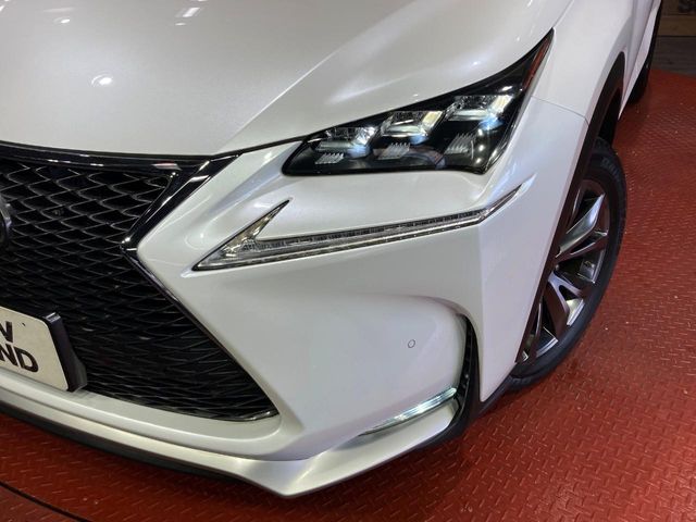 Lexus NX 12