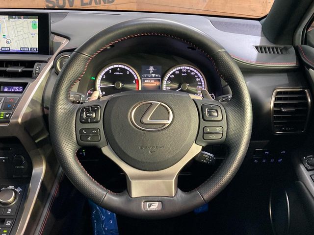 Lexus NX 10