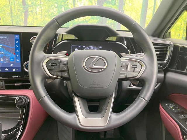 Lexus NX 11