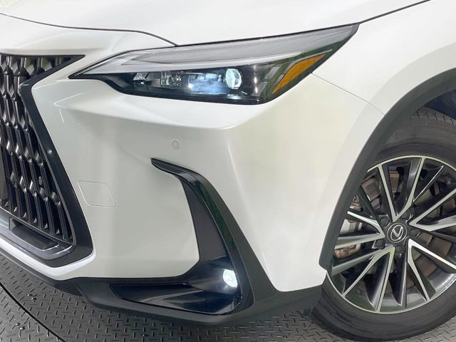 Lexus NX 12