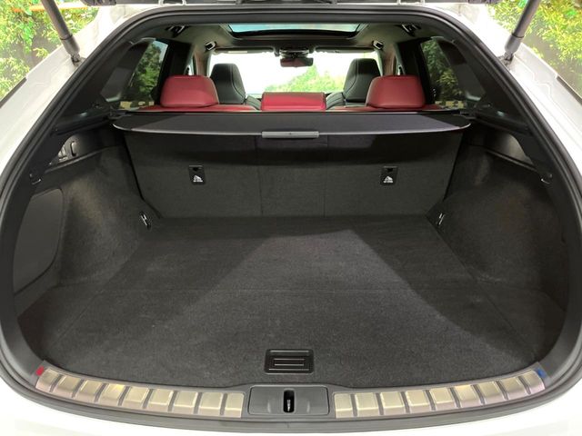 Lexus RX 12
