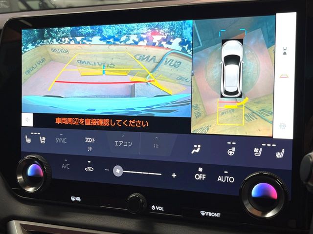 Lexus RX 6