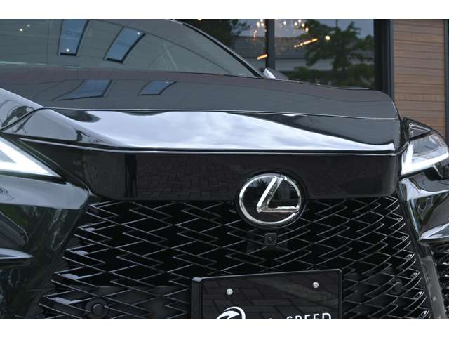 Lexus RX 10