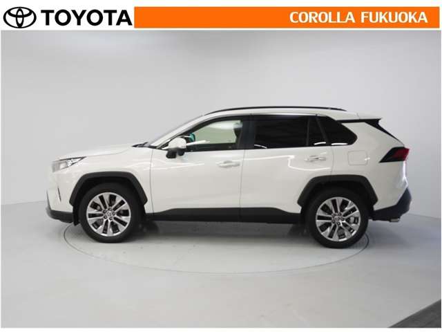 Toyota RAV4 6
