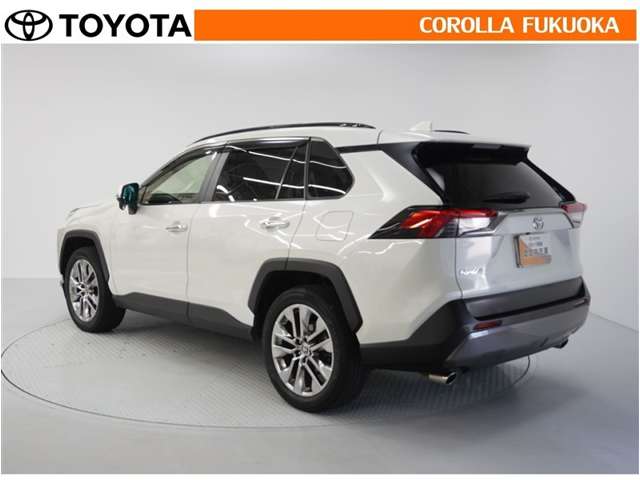 Toyota RAV4 7