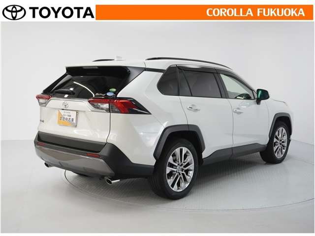 Toyota RAV4 8