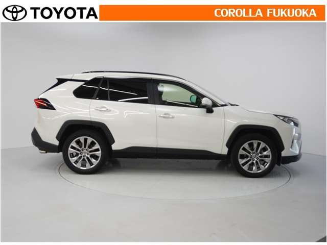 Toyota RAV4 9