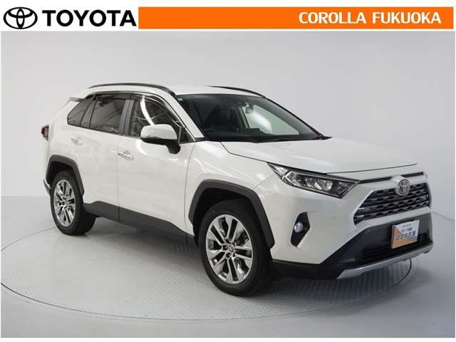 Toyota RAV4 10