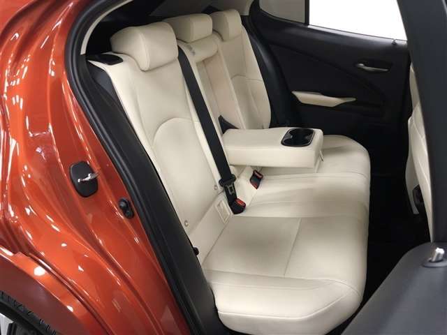 Lexus UX 11