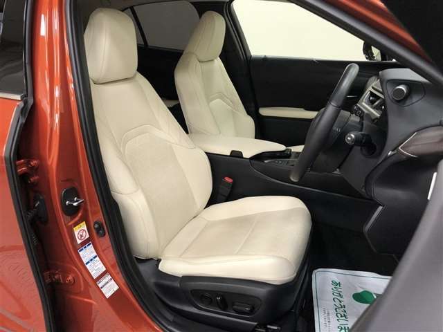 Lexus UX 10