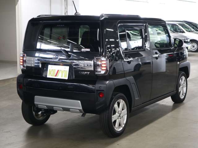 Daihatsu Taft 6