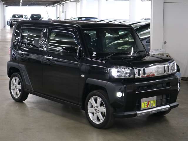 Daihatsu Taft 8
