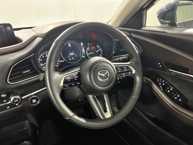 Mazda CX-30 12