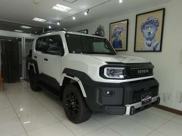 Toyota Land Cruiser FJ 3