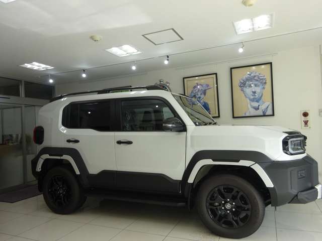 Toyota Land Cruiser FJ 6