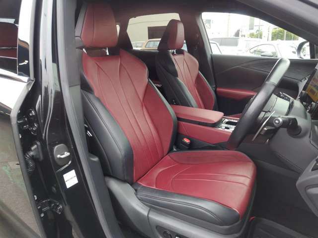 Lexus RX 11