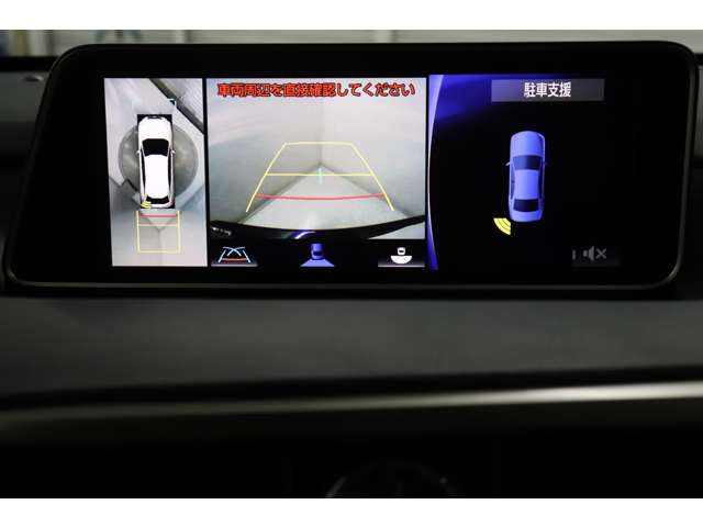 Lexus RX 11