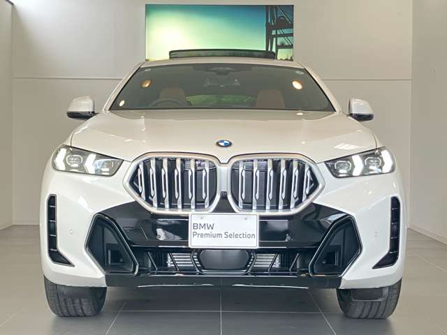 BMW X6 7