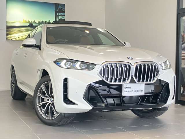 BMW X6 9