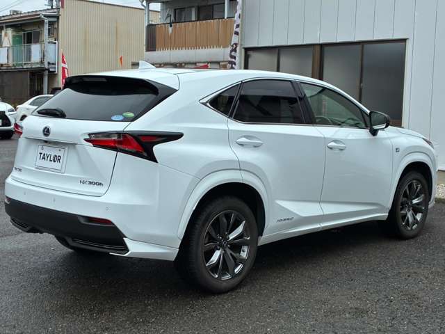 Lexus NX 11