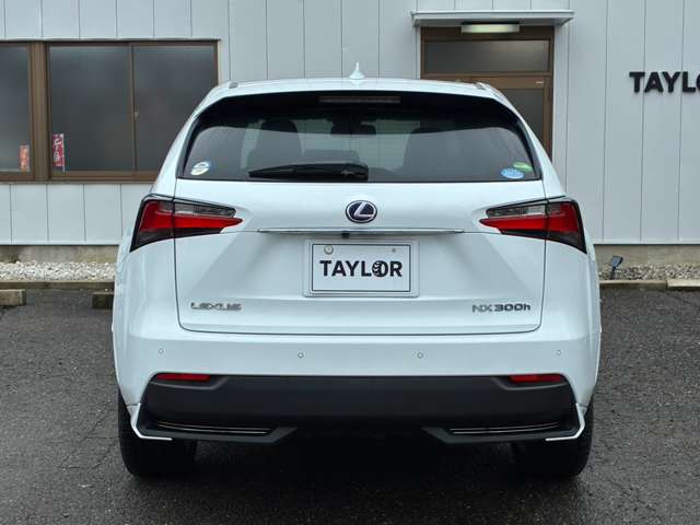 Lexus NX 12