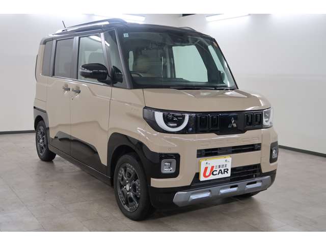 Mitsubishi Delica Mini 5