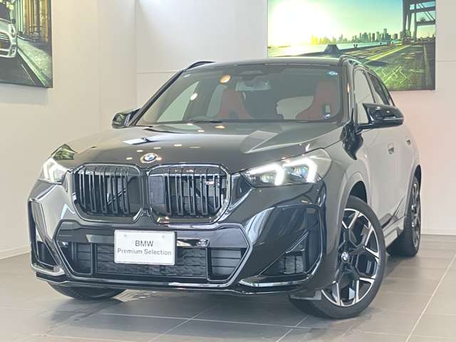BMW X1 10