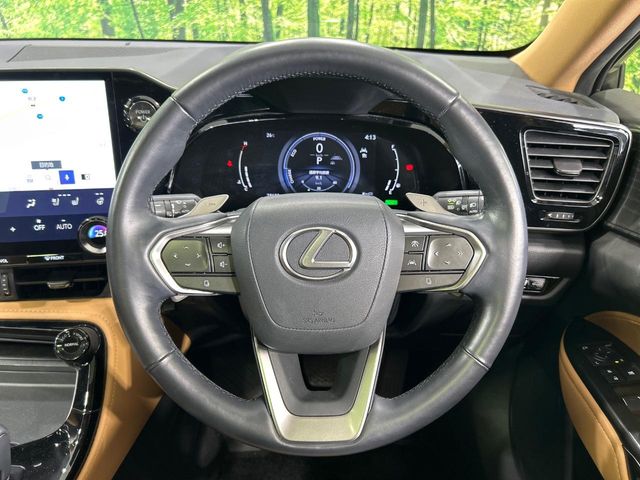 Lexus NX 11
