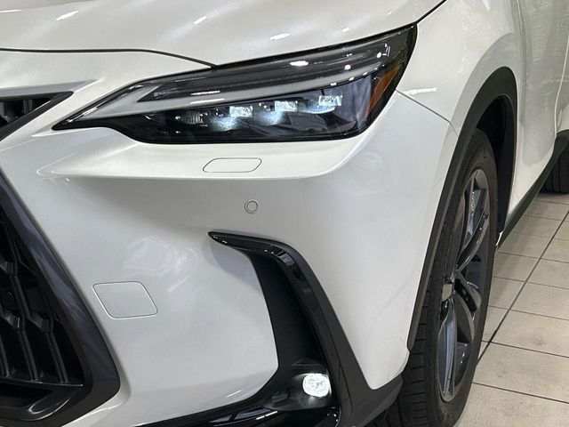 Lexus NX 12