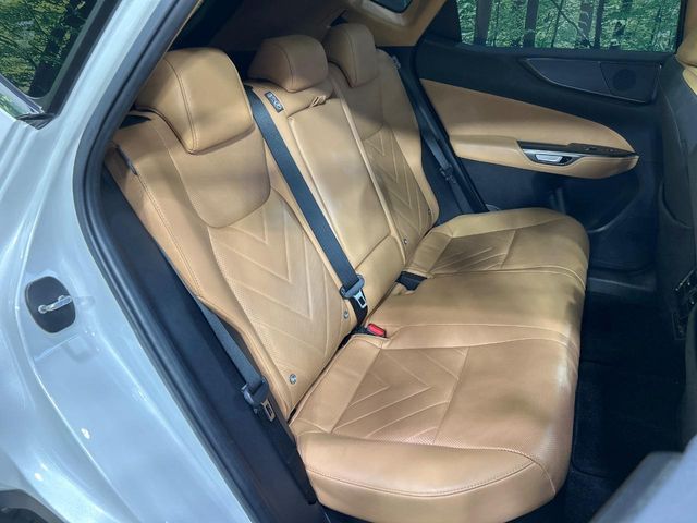 Lexus NX 9