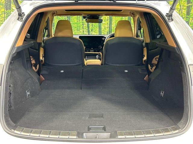 Lexus NX 10
