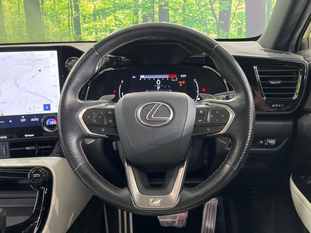 Lexus NX 11