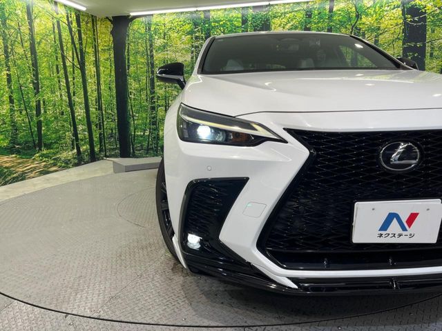 Lexus NX 12