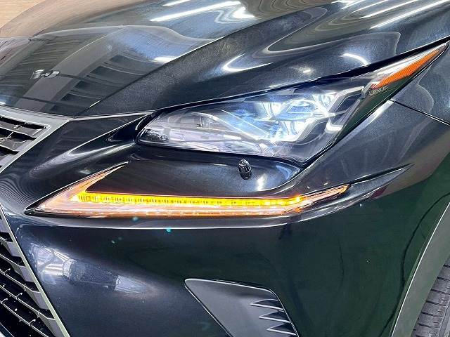 Lexus NX 11