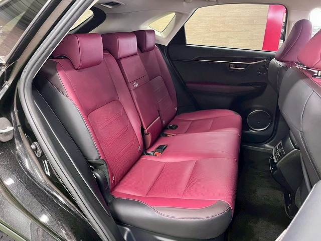 Lexus NX 10