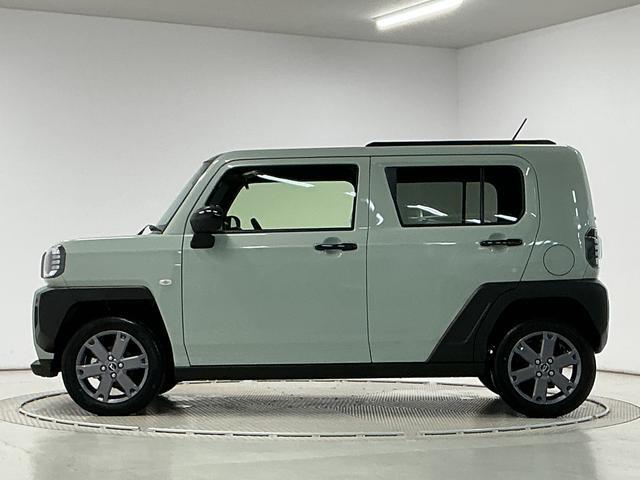 Daihatsu Taft 11