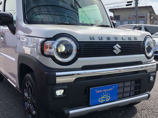 Suzuki Hustler 11