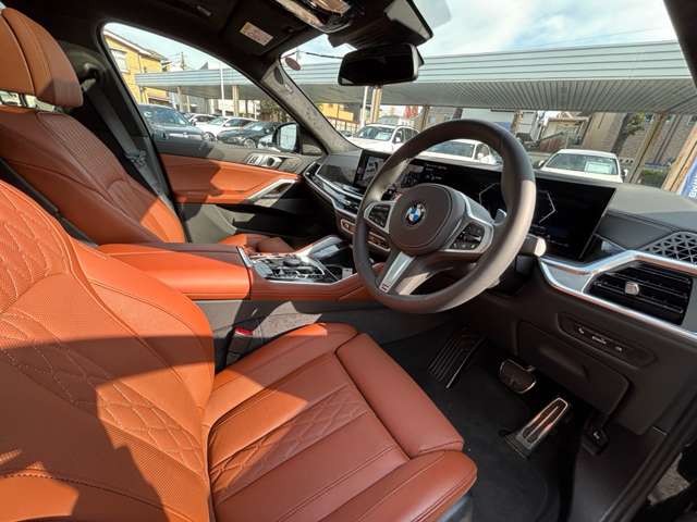 BMW X6 10
