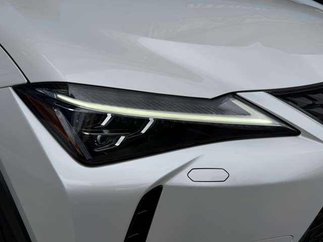 Lexus UX 12