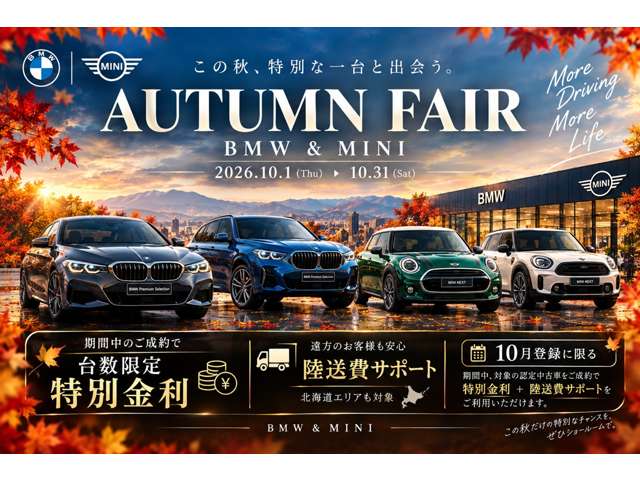 MINI Countryman 2