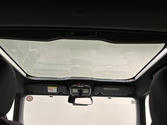 Daihatsu Taft 11