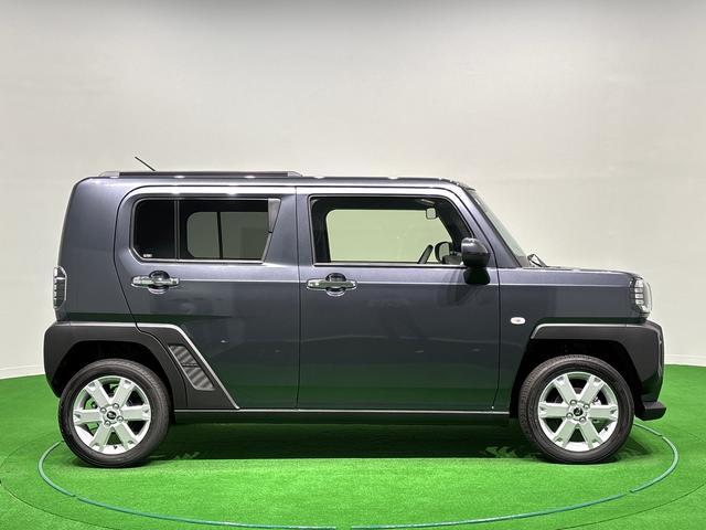 Daihatsu Taft 7