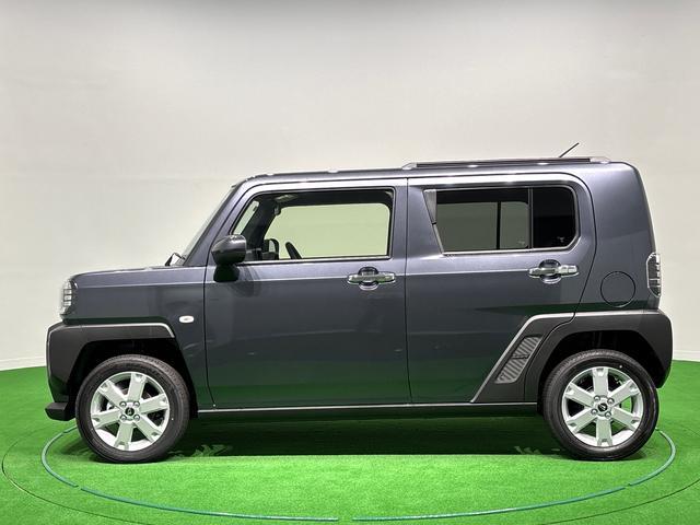 Daihatsu Taft 8