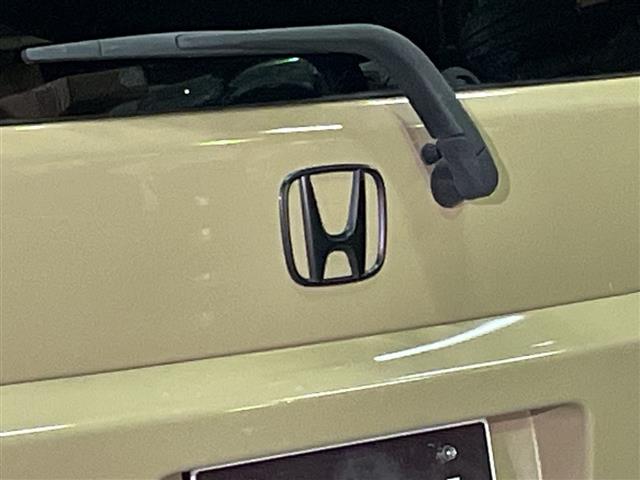 Honda Crossroad 10
