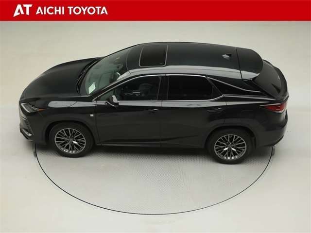 Lexus RX 11