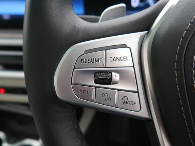 BMW X7 10