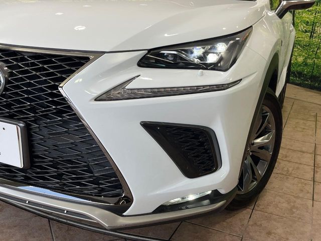 Lexus NX 12